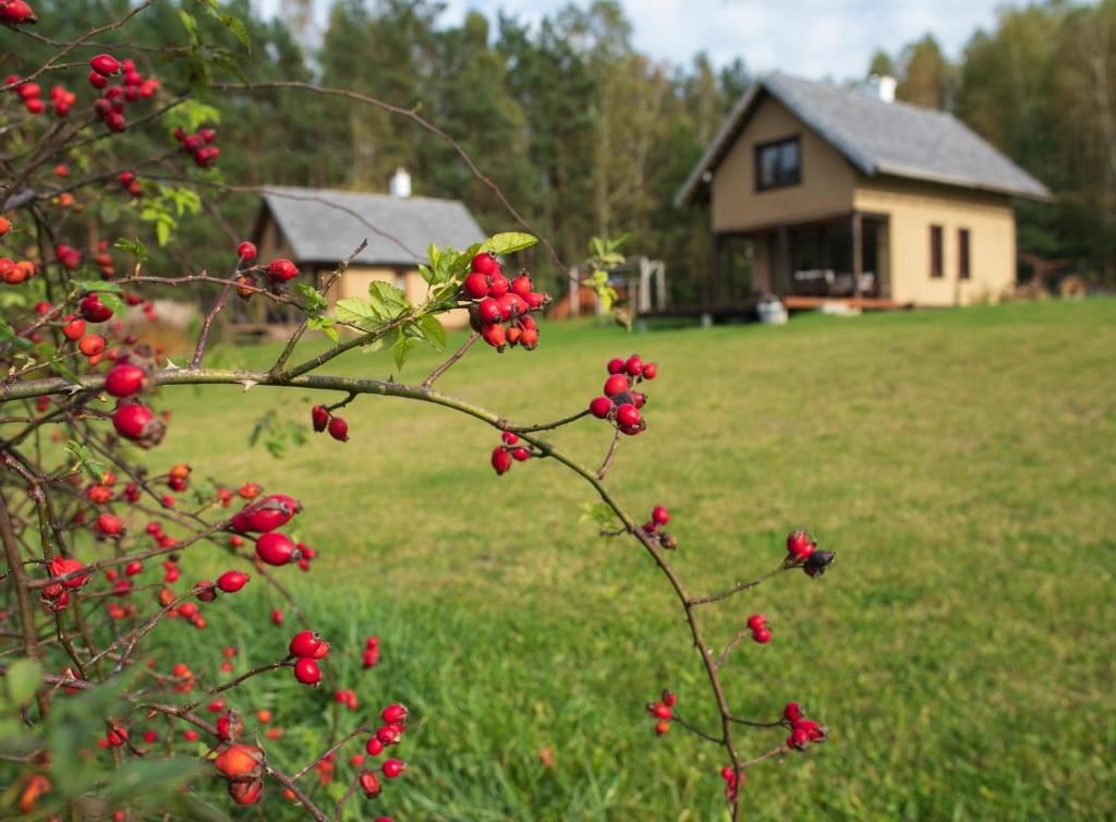 Фермерские дома Słomiany Domek Borzechowo